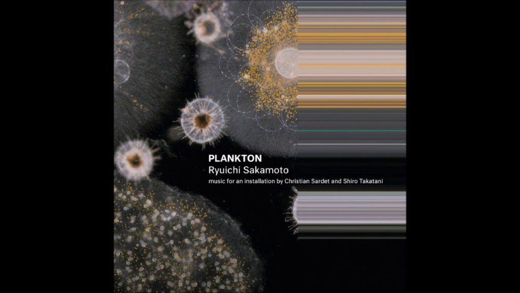 Die besten Quellen für Ryuichi Sakamoto Plankton Mediafire Downloads