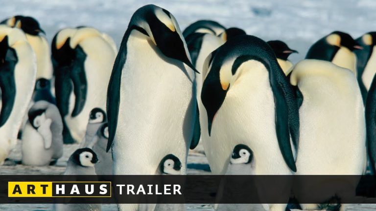 Den Film Die Reise Der Pinguine Netflix von Mediafire herunterladen