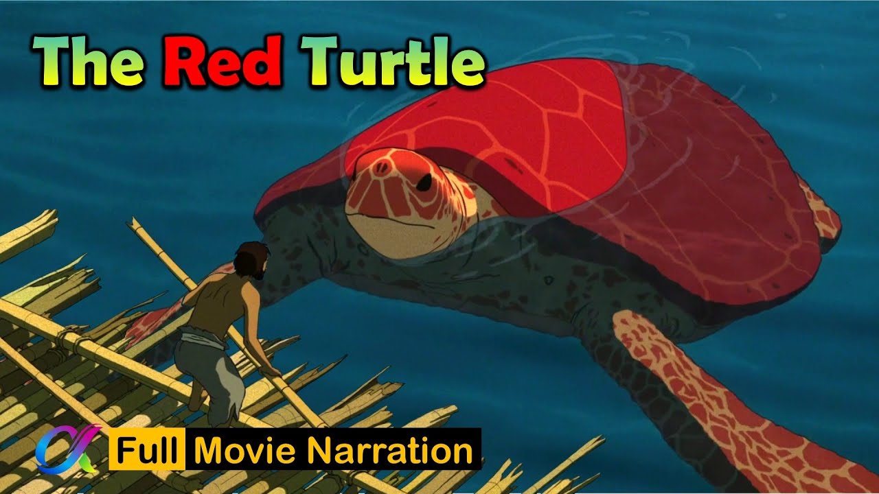 Den Film Schildkroete Animation von Mediafire herunterladen Den Film Schildkröte Animation von Mediafire herunterladen