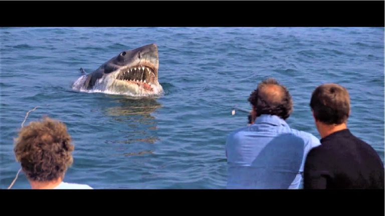 Den Film Wer Streamt Der Weiße Hai von Mediafire herunterladen